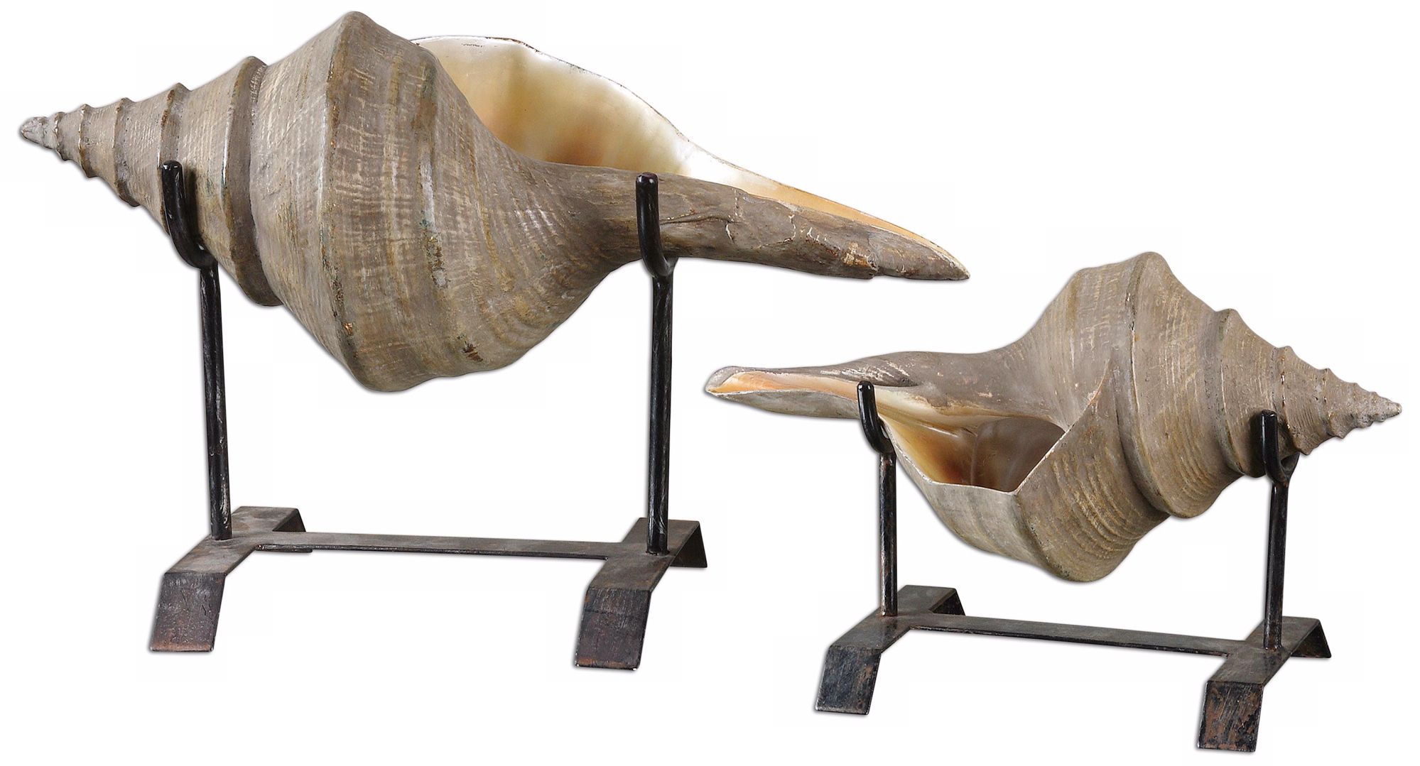 Uttermost Set of 2 Conch Shell Sculptures