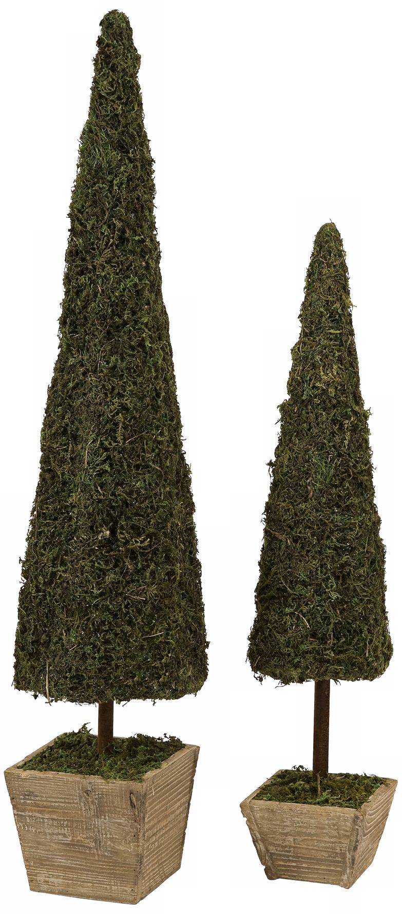 Set of 2 Faux Moss Conical Topiaries
