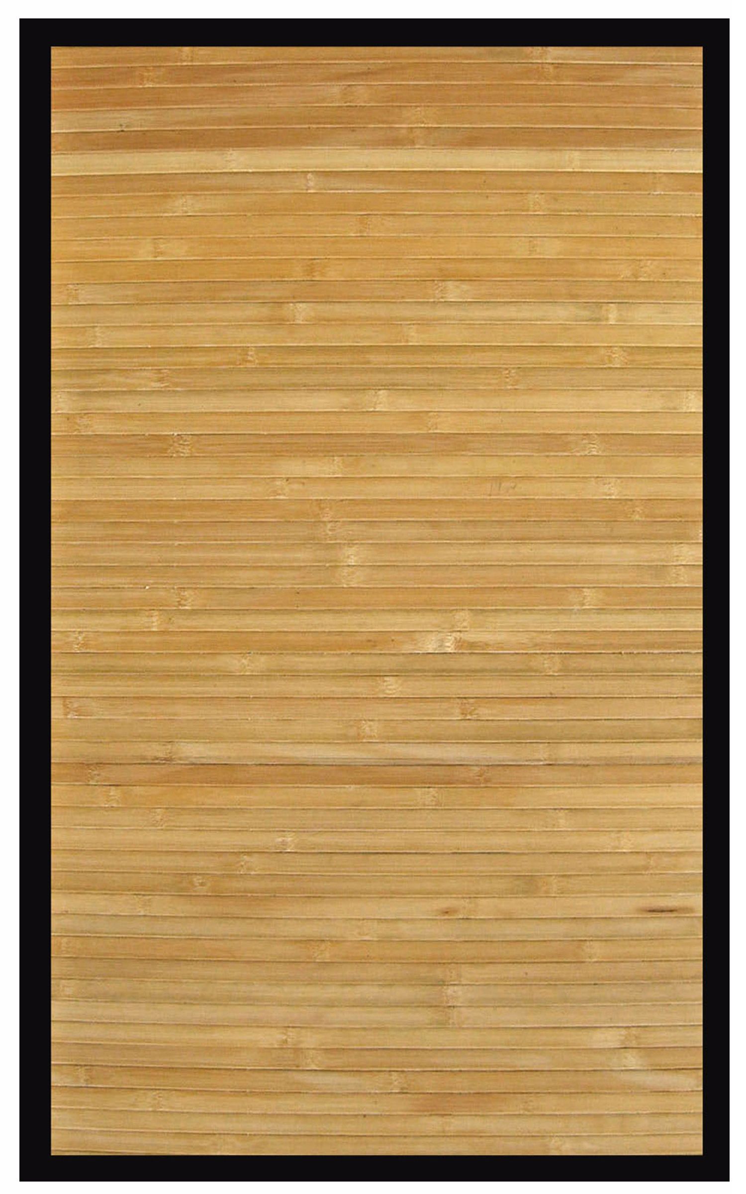 Foothill Collection Natural 4x6 Area Rug U1451