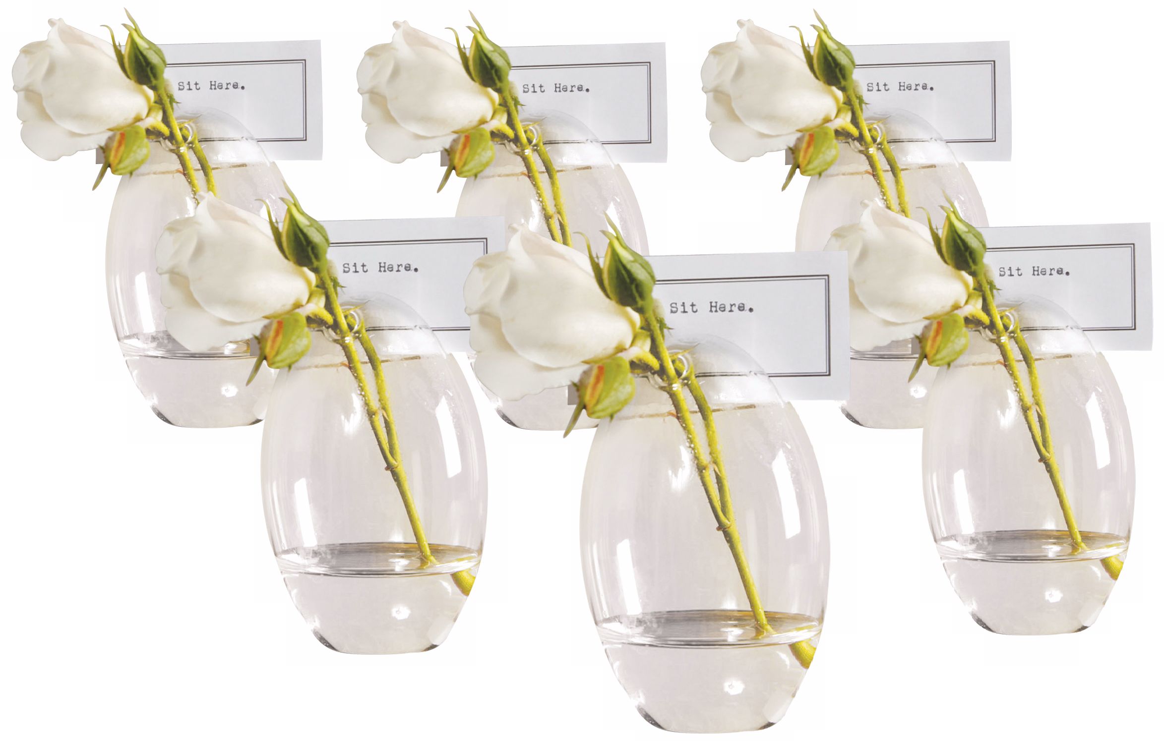 Set of 6 Glass Oval Placecard Holders