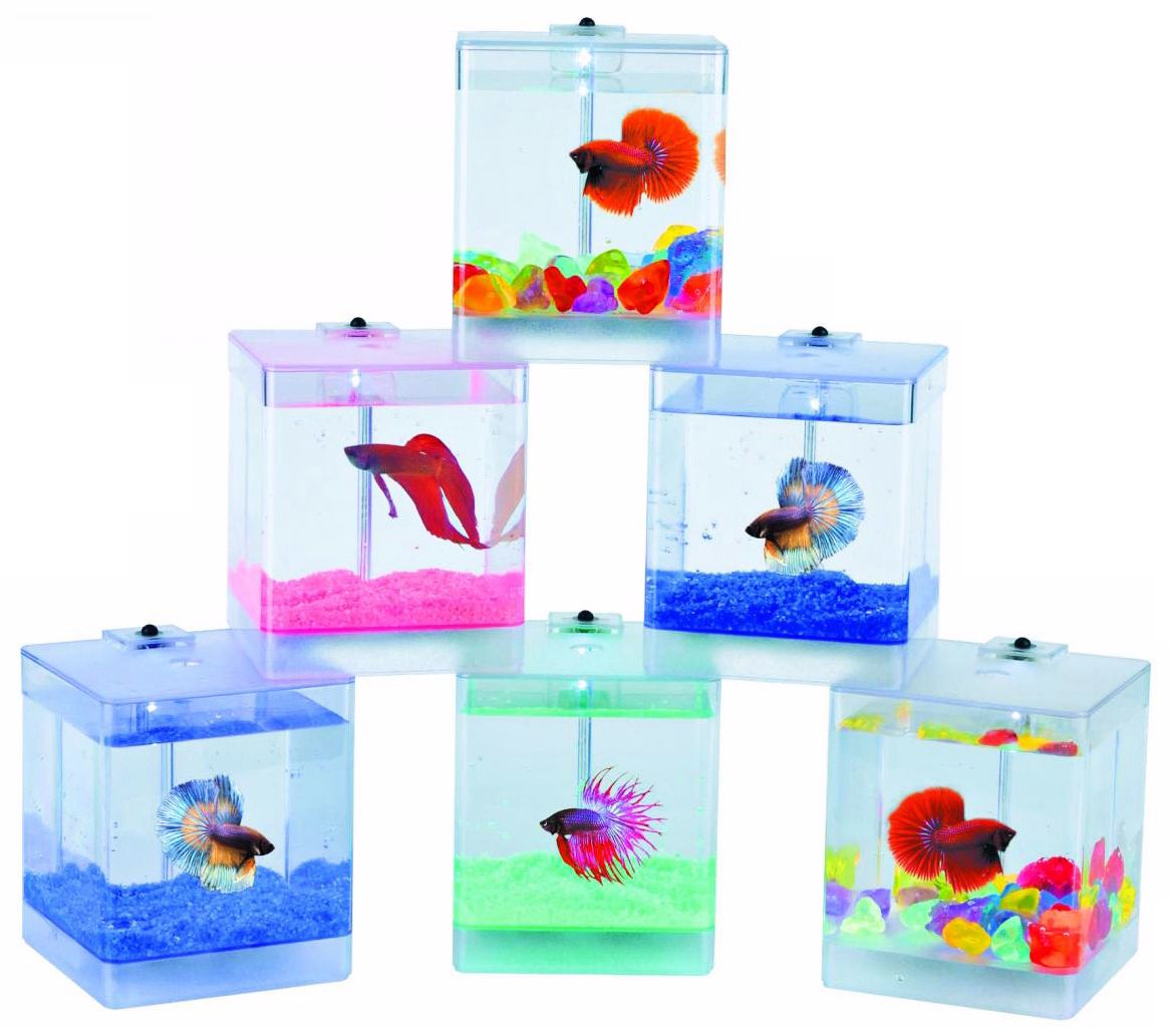 LED Aqua Box Fish Bowl
