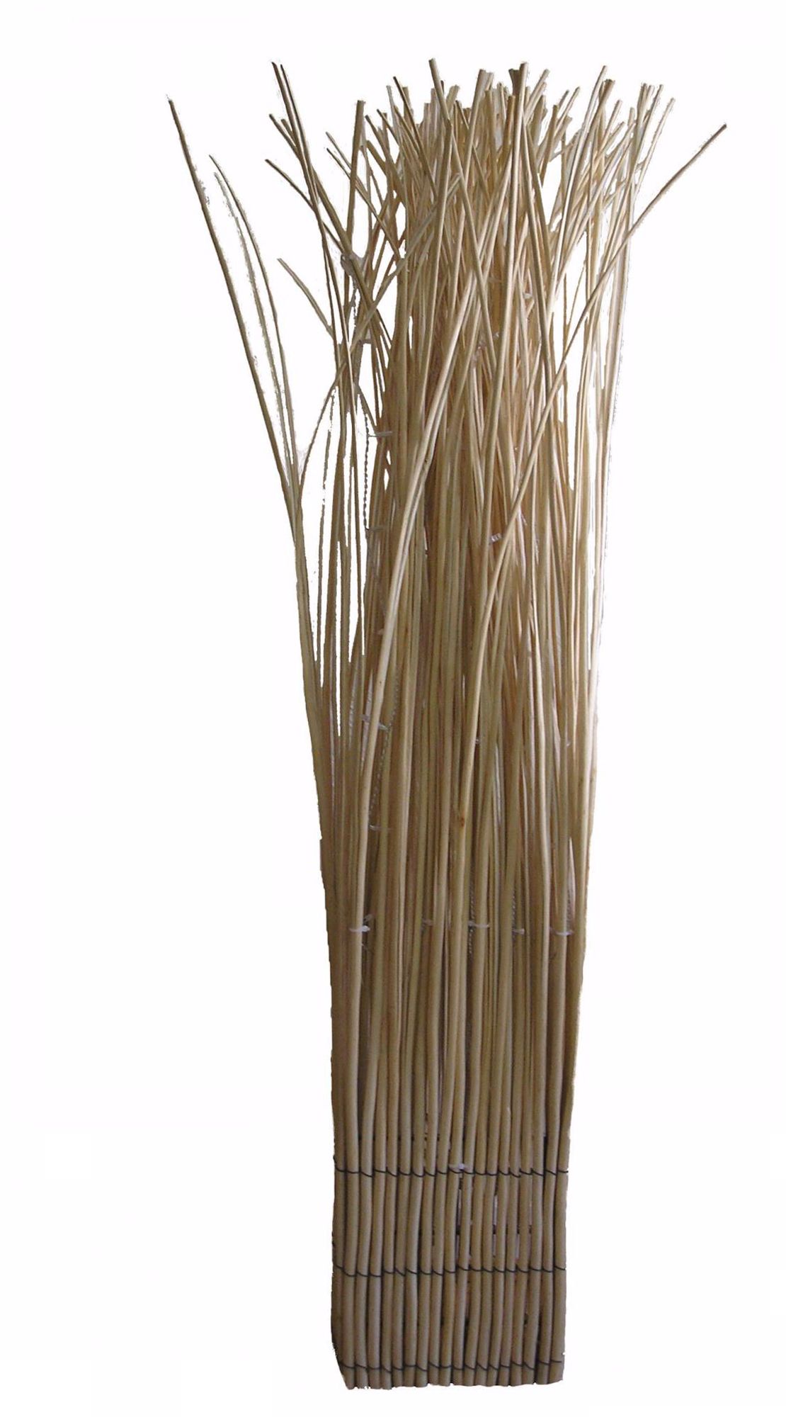 Decorative Natural Willow Branches LED Accent Light U7877