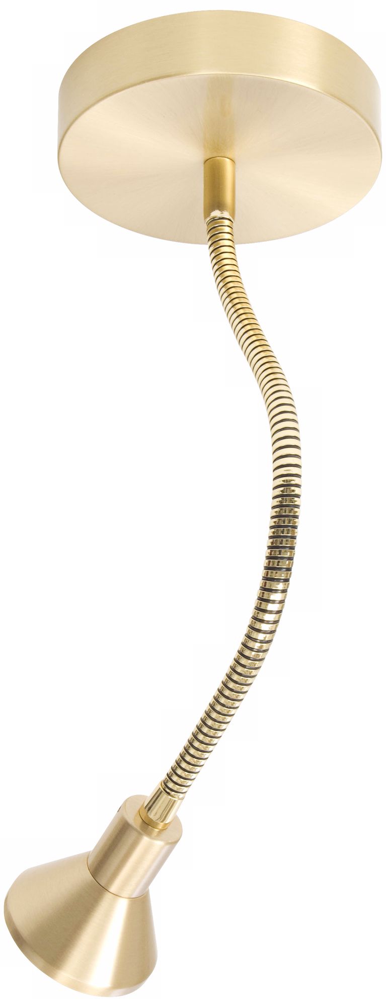 Lichtstar Brushed Brass Gooseneck Spotlight Ceiling Fixture