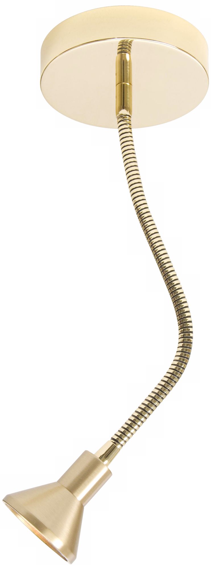 Lichtstar Combo Brass Gooseneck Spotlight Ceiling Fixture