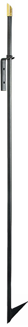 Black with Brass Trim Wrought Iron Fire Poker