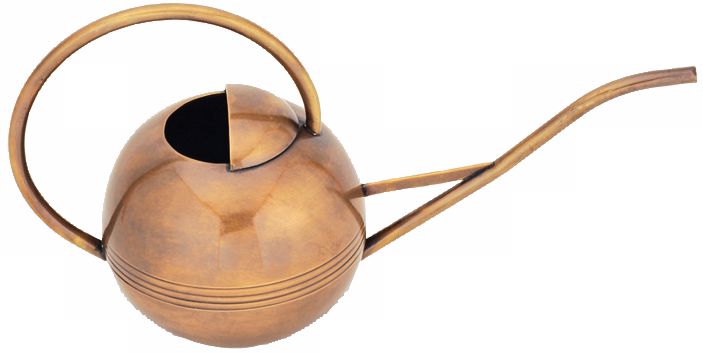 1 Liter Small Solid Brass Watering Can
