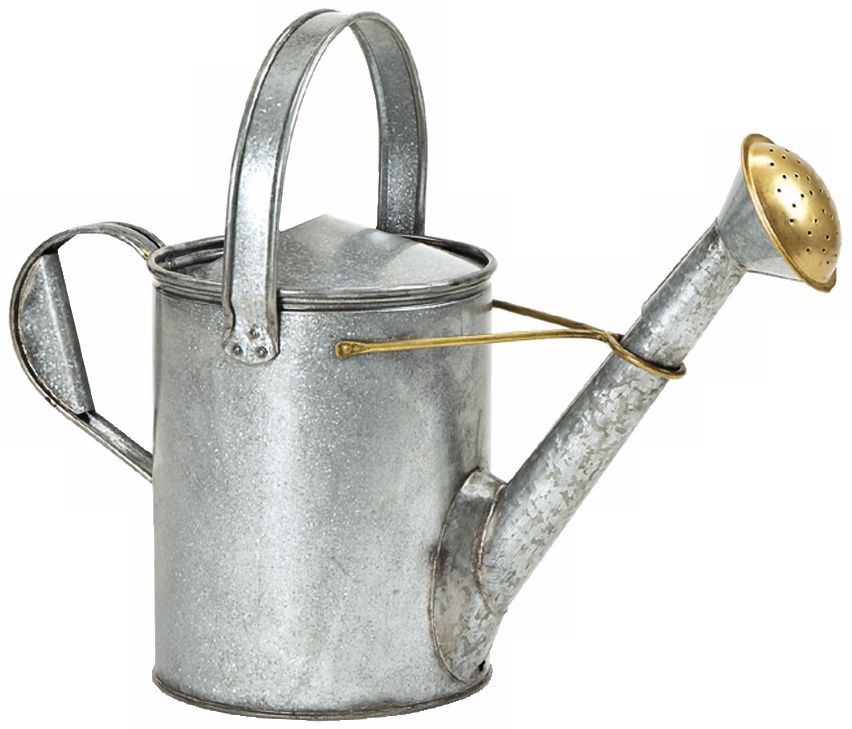 Short-Necked Galvanized Steel Watering Can