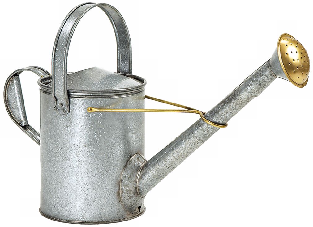 Long-Necked Galvanized Steel Watering Can