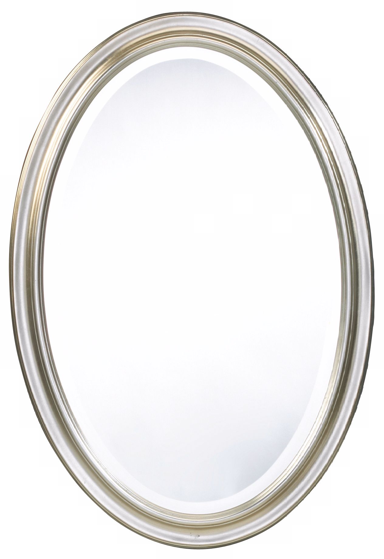 Cooper Classics Silver Blake 31 1/2" High Oval Wall Mirror