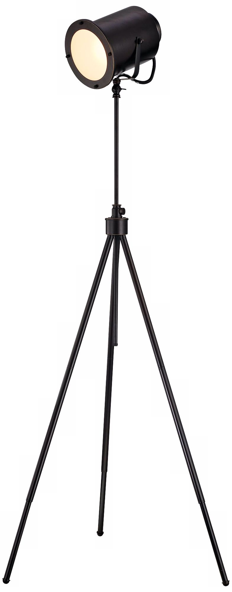 Lite Source Directeur Dark Bronze Floor Lamp