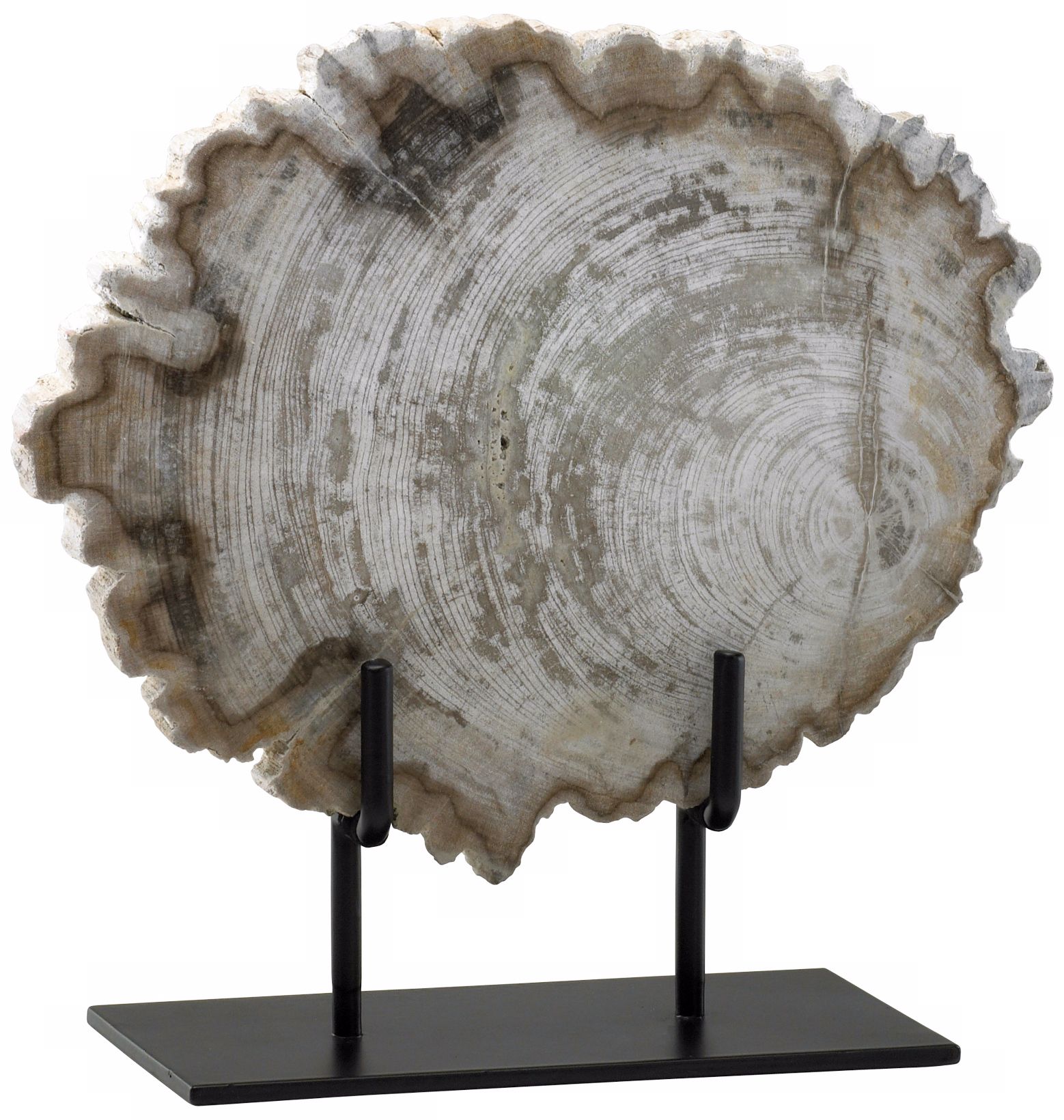 Small Petrified Oak Wood on Iron Stand