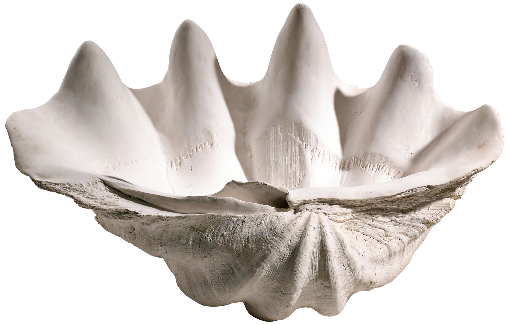 White Clam Shell Decorative Bowl