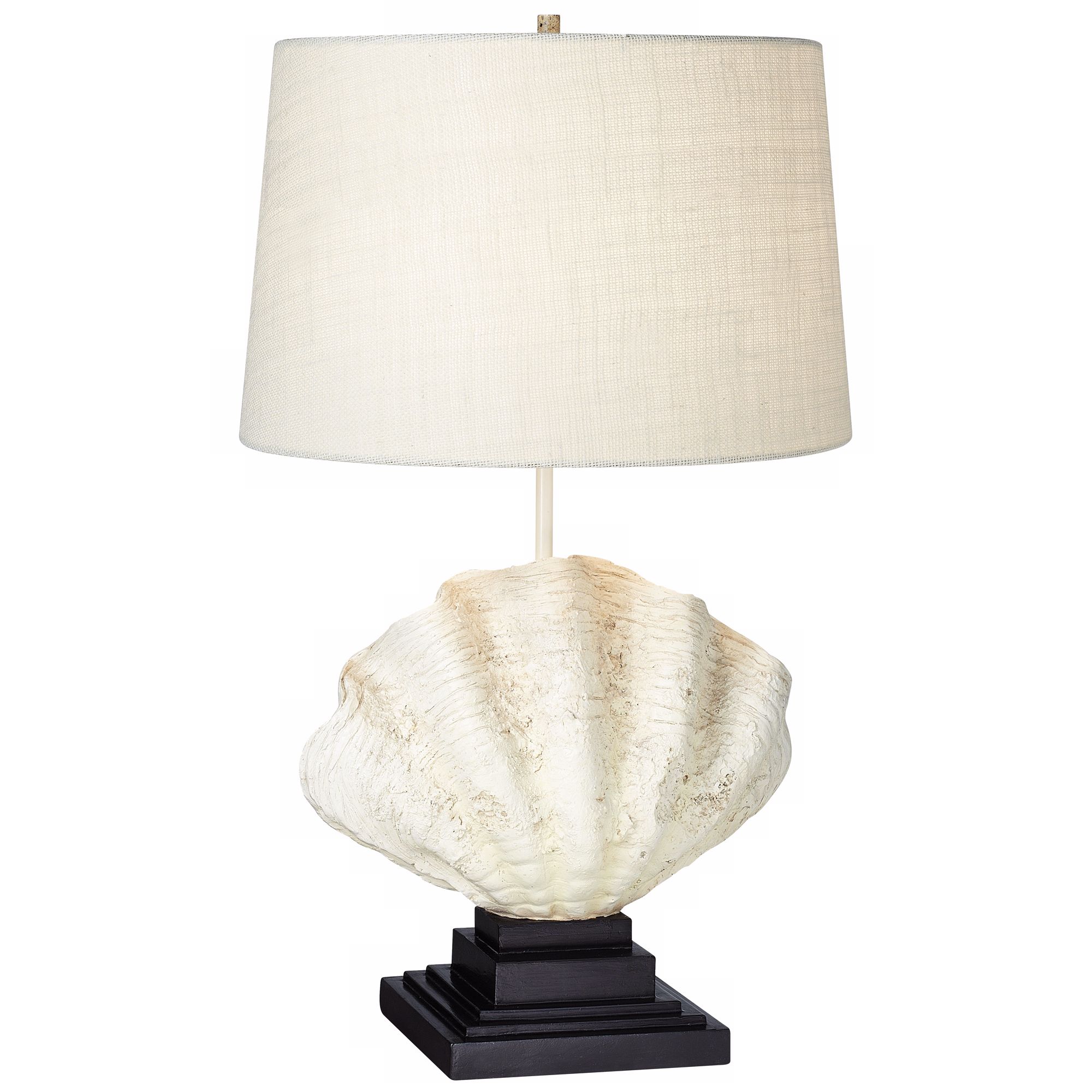National Geographic Gigas Shell Table Lamp