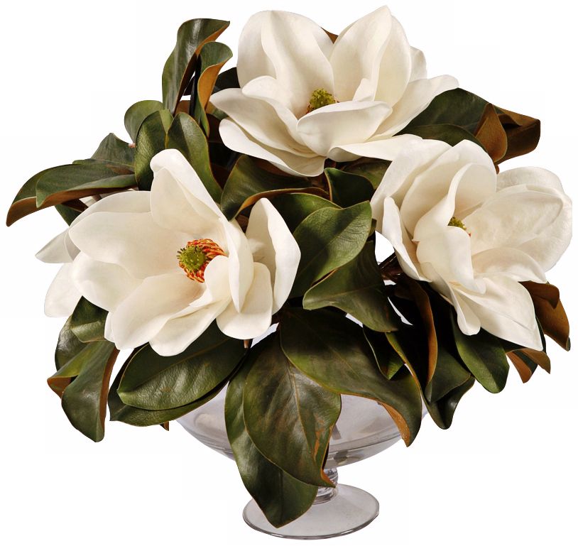 Jane Seymour 17" High Magnolias in Glass Vase