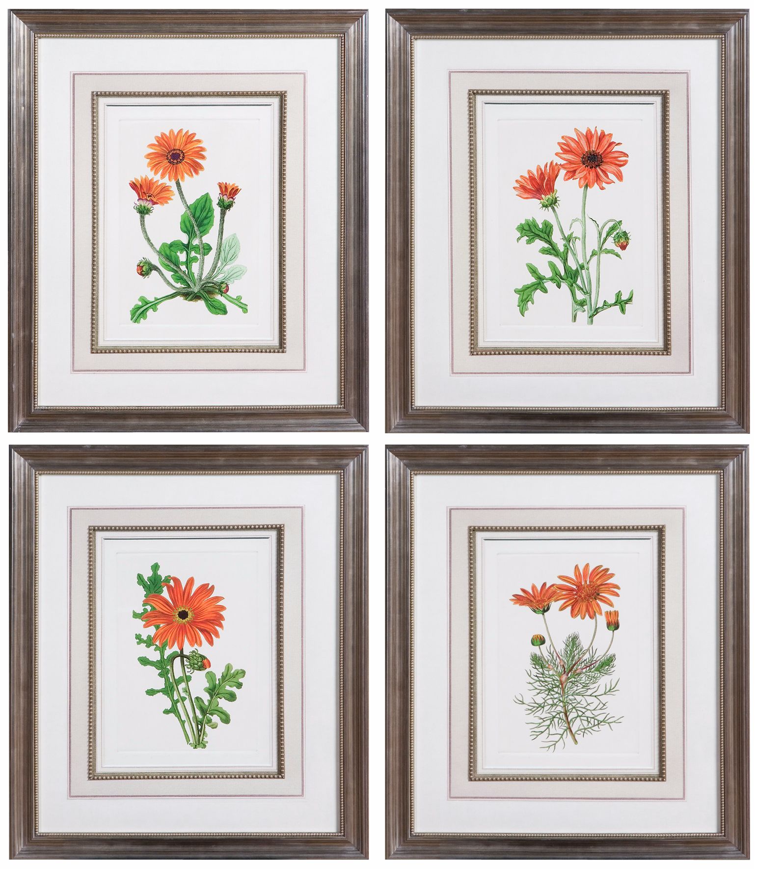 Set of 4 Uttermost Orange Flowers I-IV Framed Wall Art