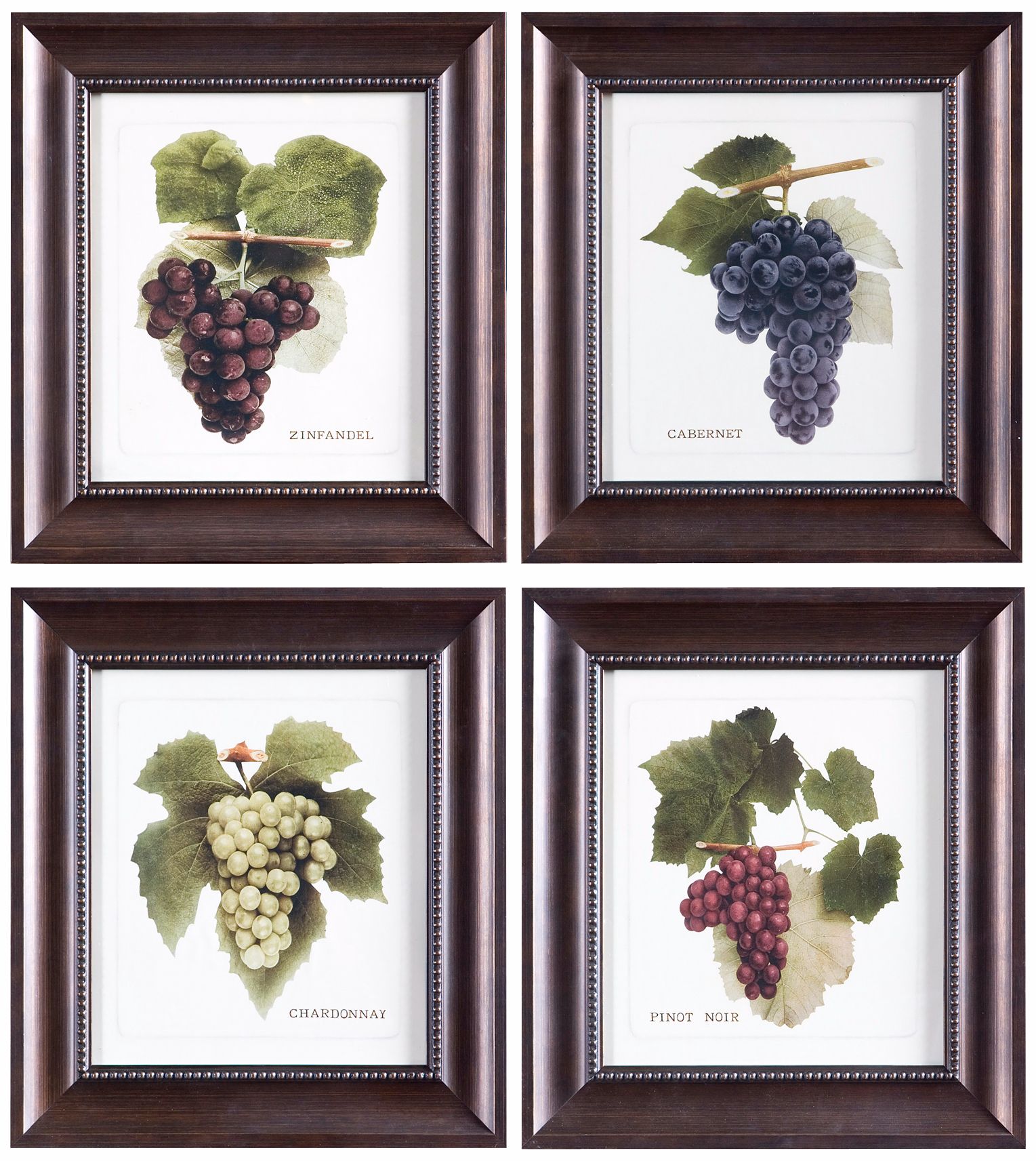 Set of 4 Uttermost Vino Grapes I-IV Framed Wall Art