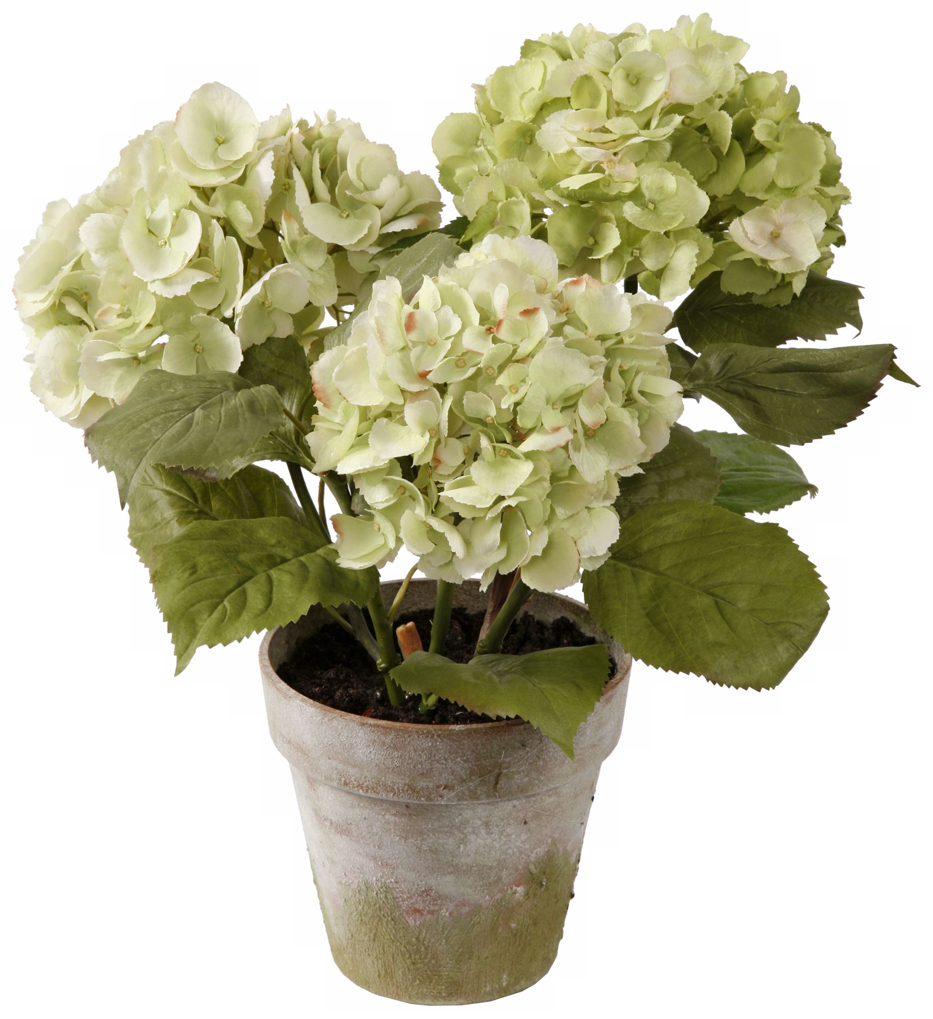Jane Seymour 19" Three Hydrangeas in Clay Pot