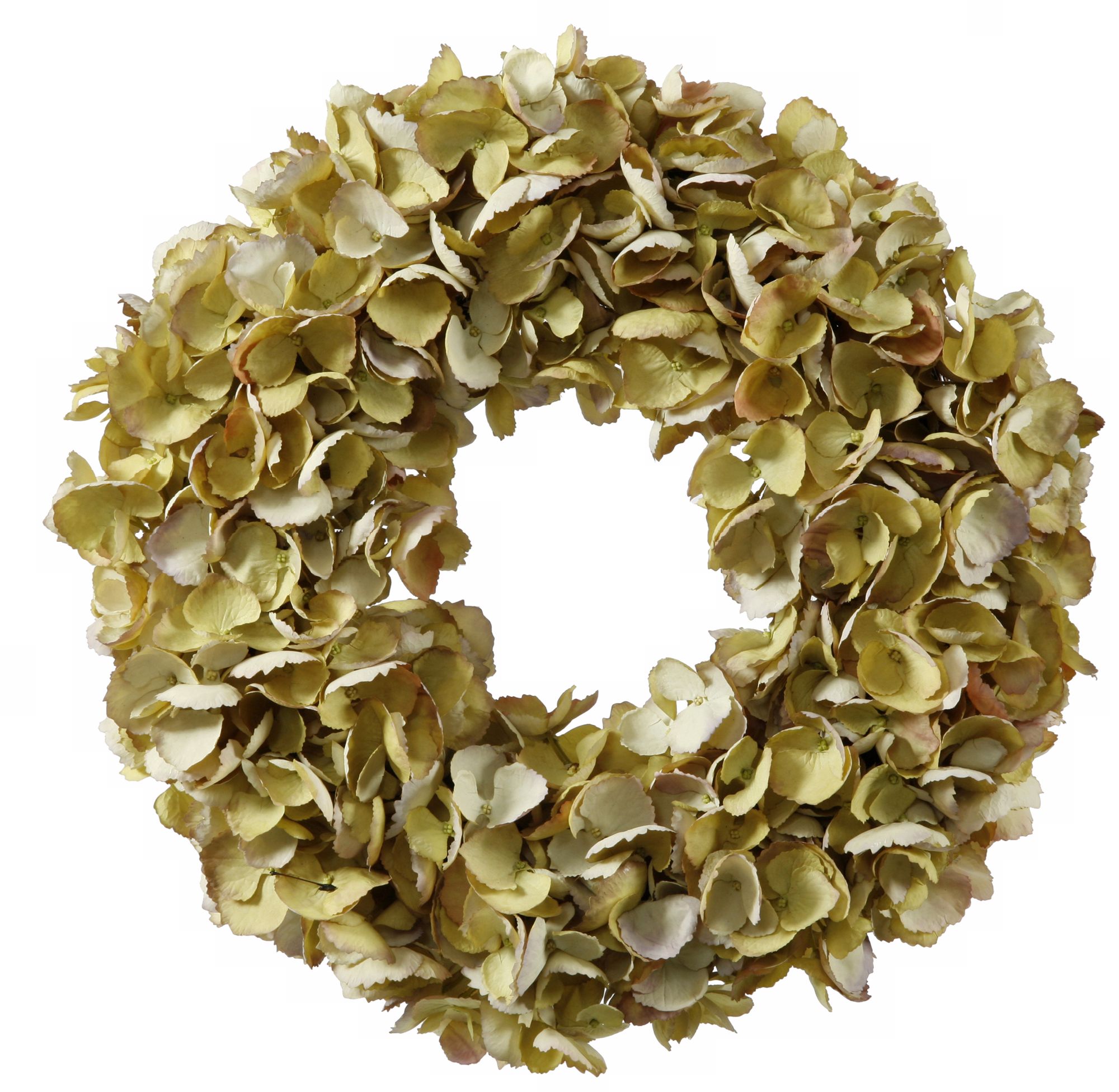Jane Seymour 16" Dried Hydrangea Wreath