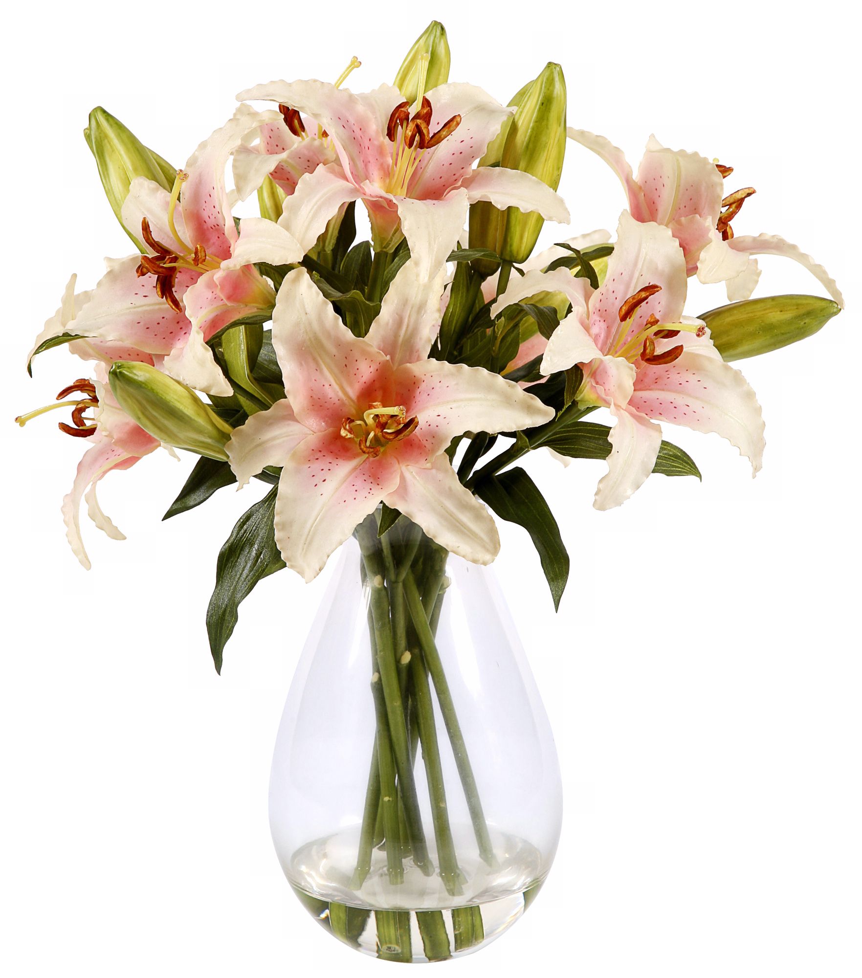 Jane Seymour 18" Pink Lily Rubrum in Glass Vase