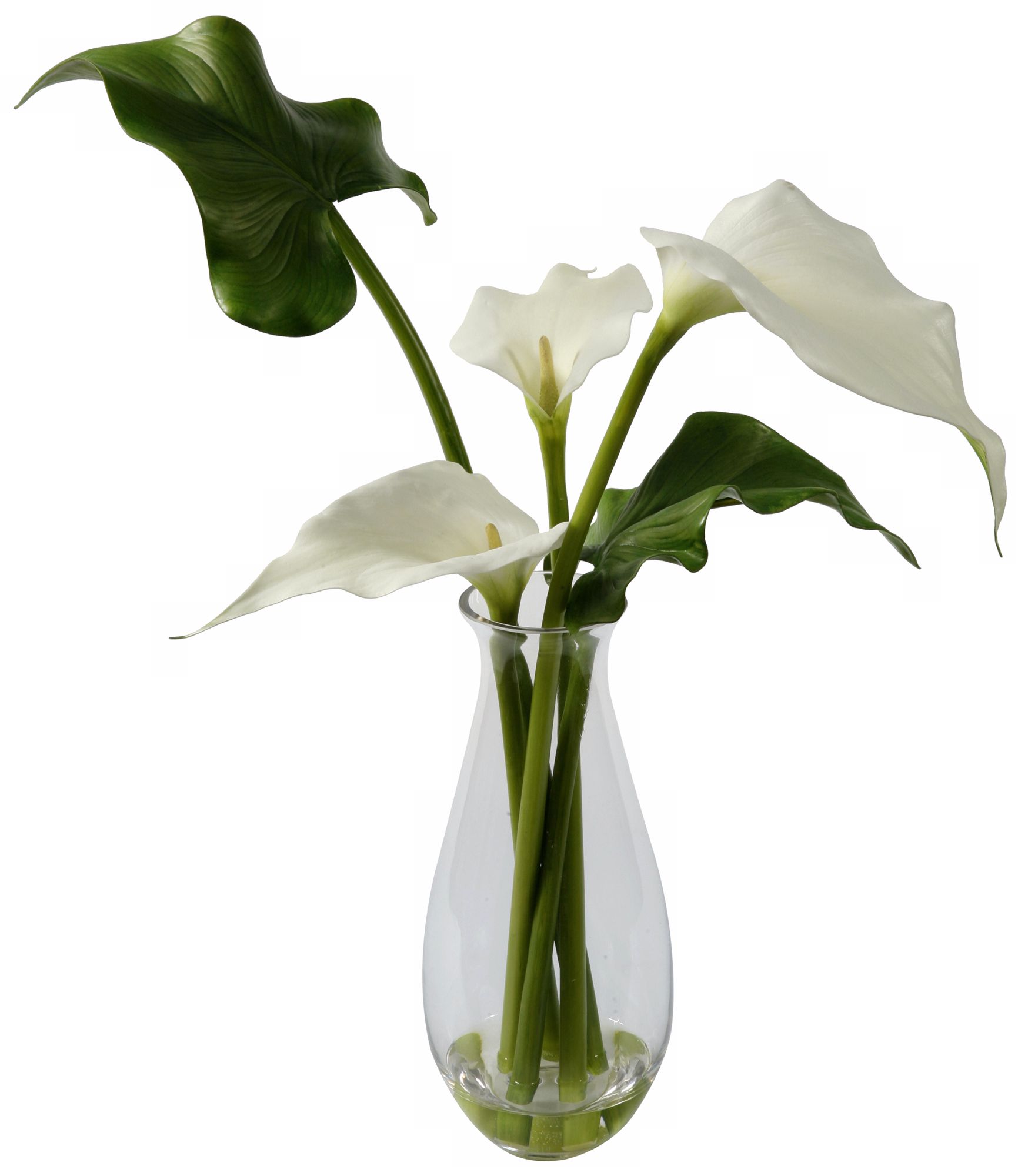 Jane Seymour 24" White Faux Calla Lily in Glass Vase