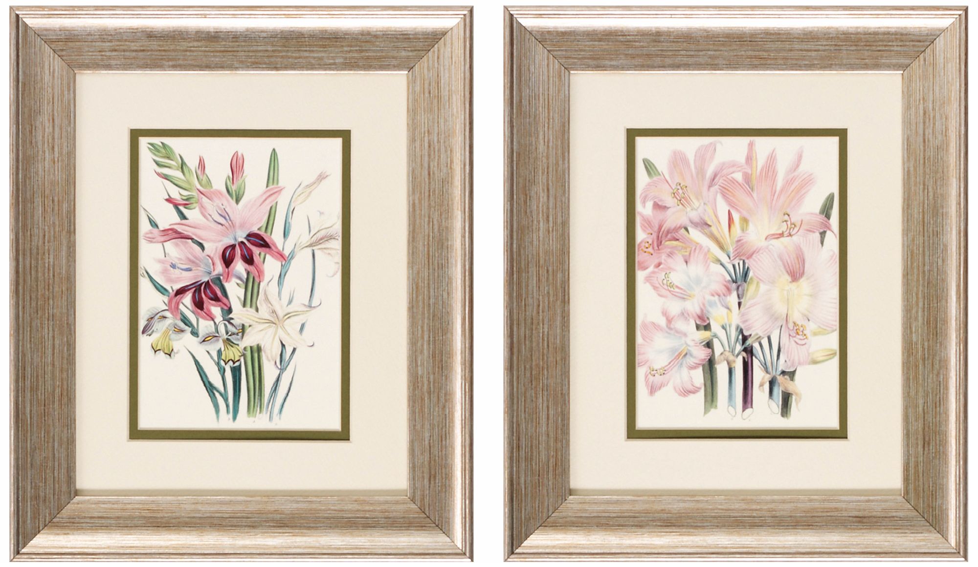 Set of 2 Lily Flowers II/IV 13" High Garden Wall Art Prints
