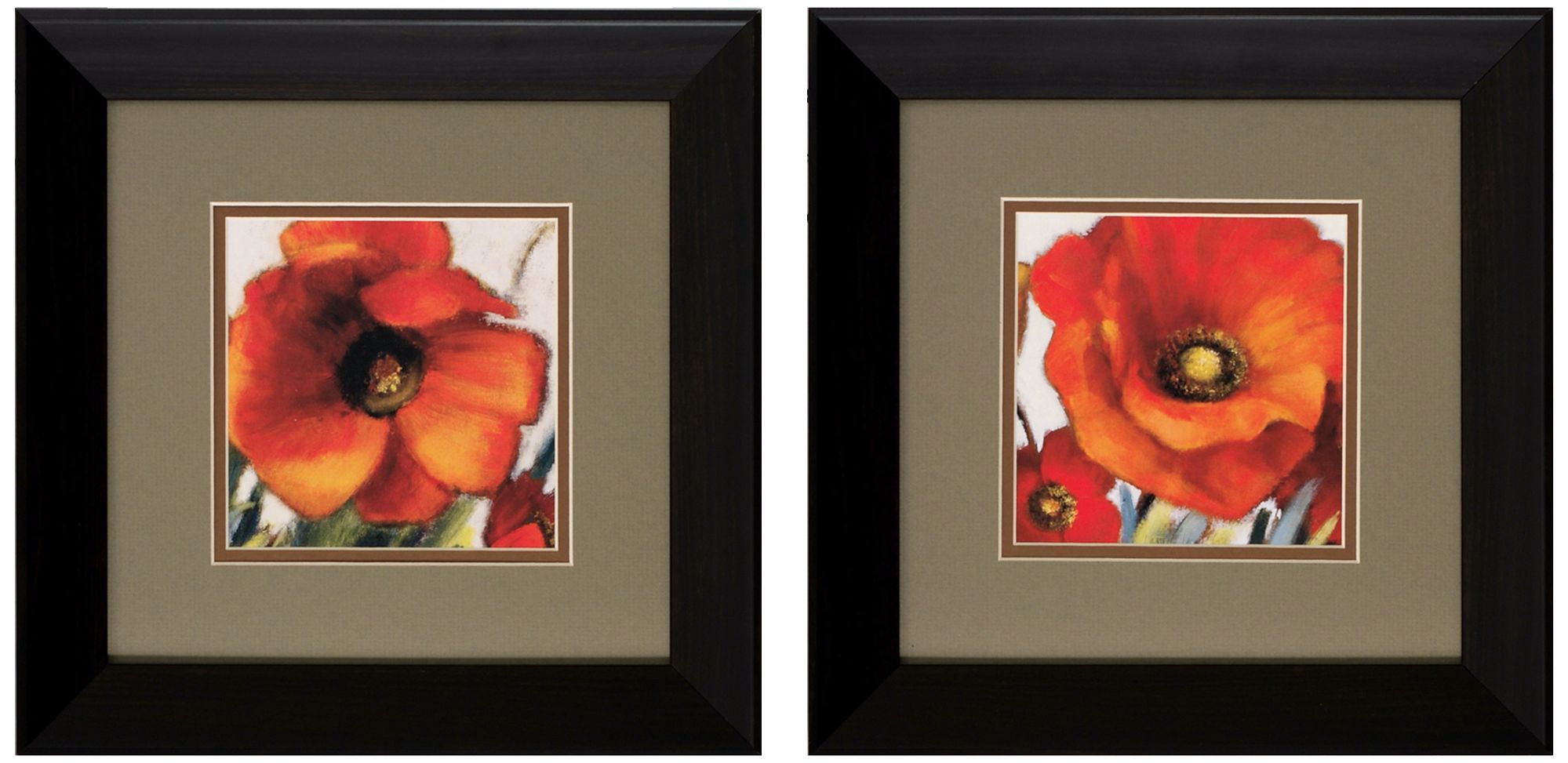 Set of 2 Poppy Splendor I/II Framed Floral Wall Art