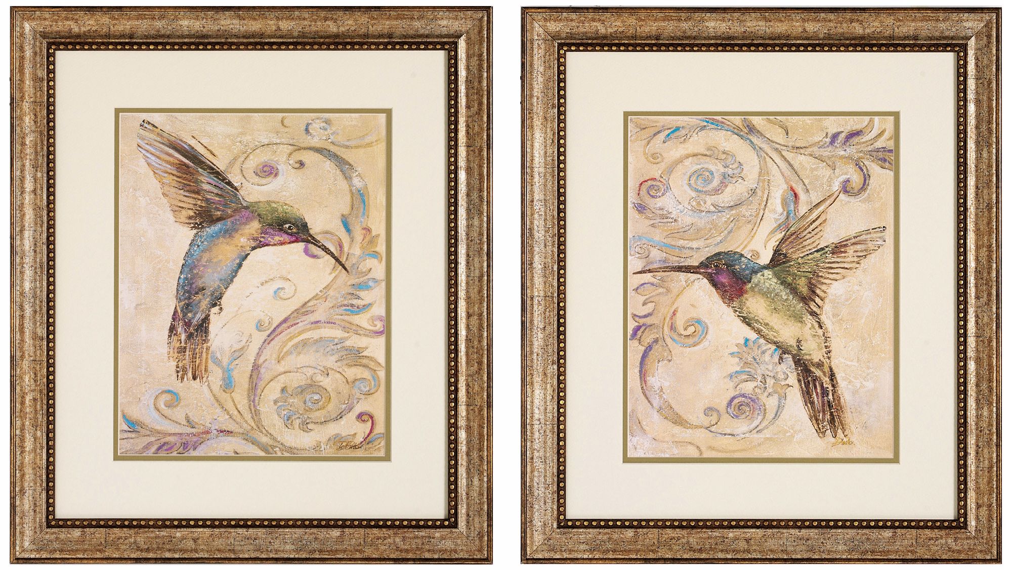 Set of 2 Hummingbird I/II Framed Bird Wall Art