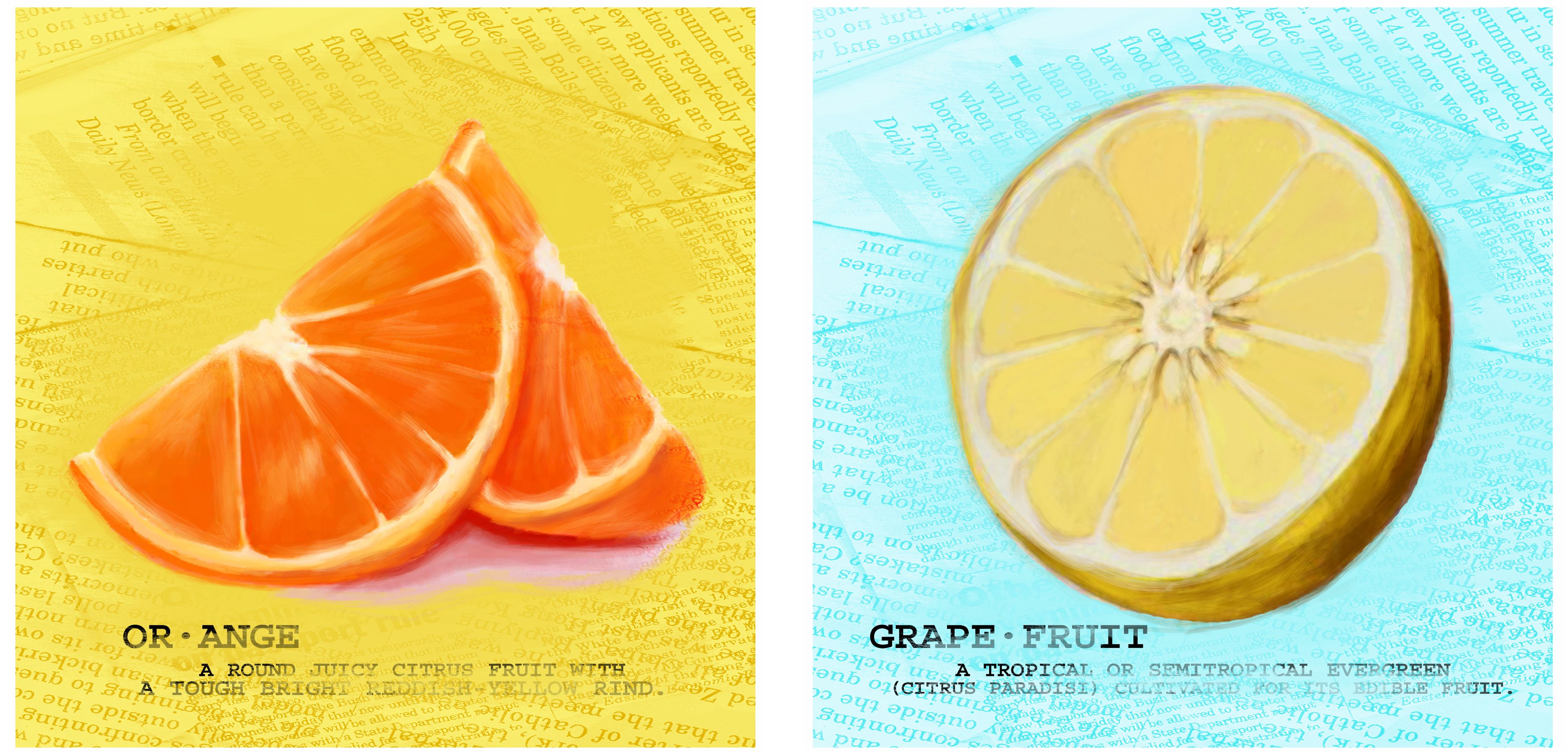 Set of 2 Zesty Citrus 12" Square Kitchen Art Prints