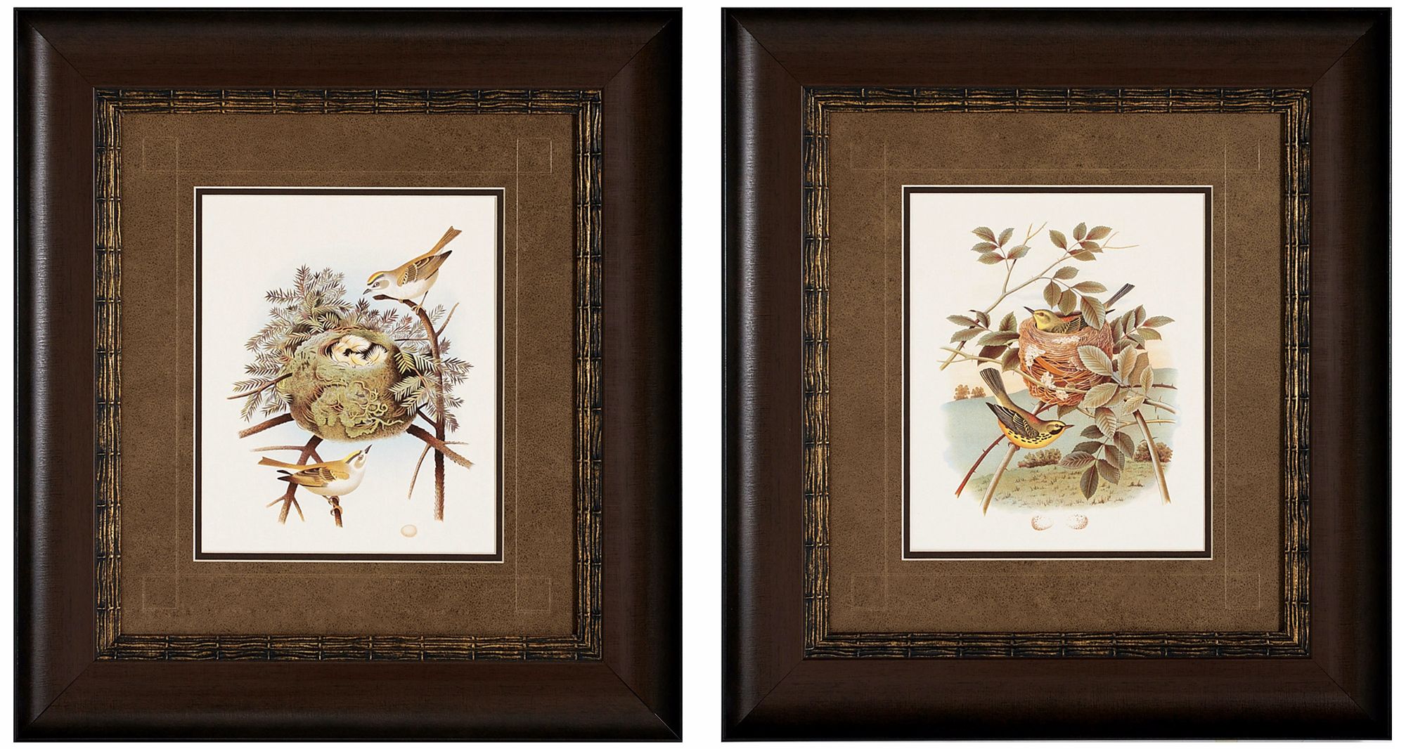 Set of 2 Prairie and Golden Songbird Wall Art Prints I/III