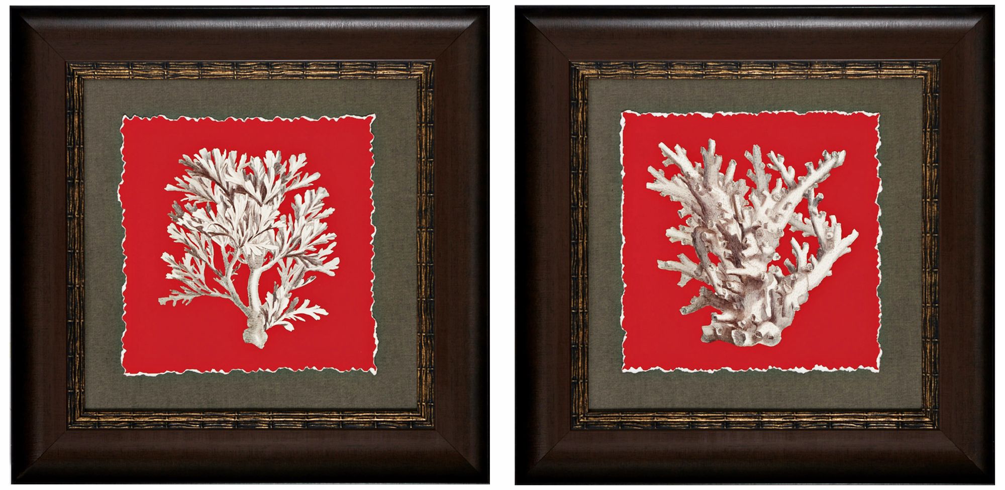 Set of 2 Coral I/IV 22" Square Framed Wall Art