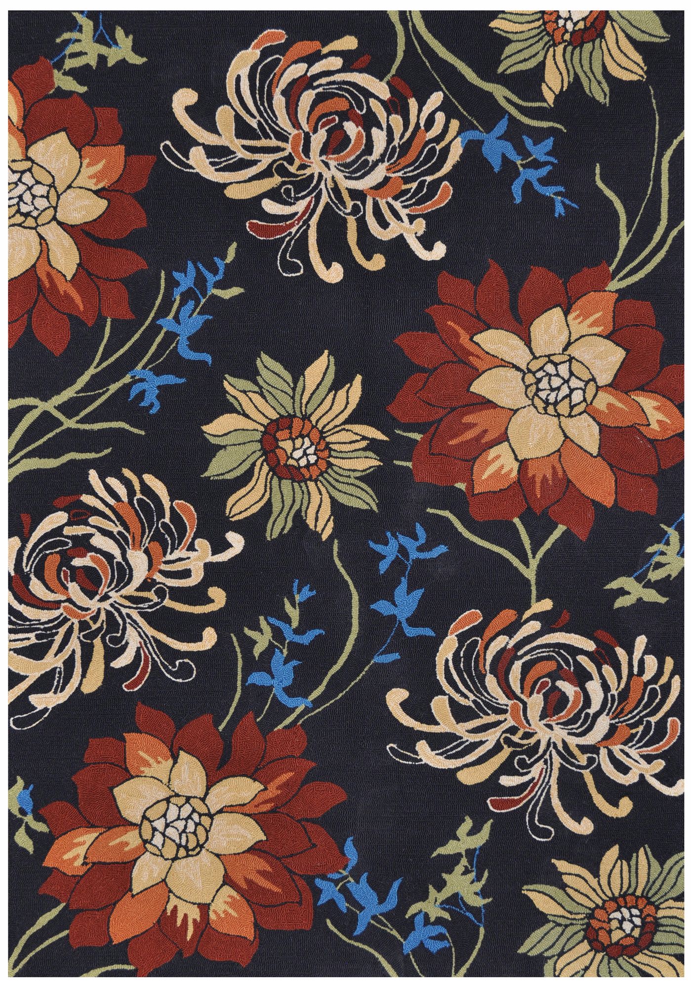 Loloi Sunshine SS-03 Black Area Rug                         