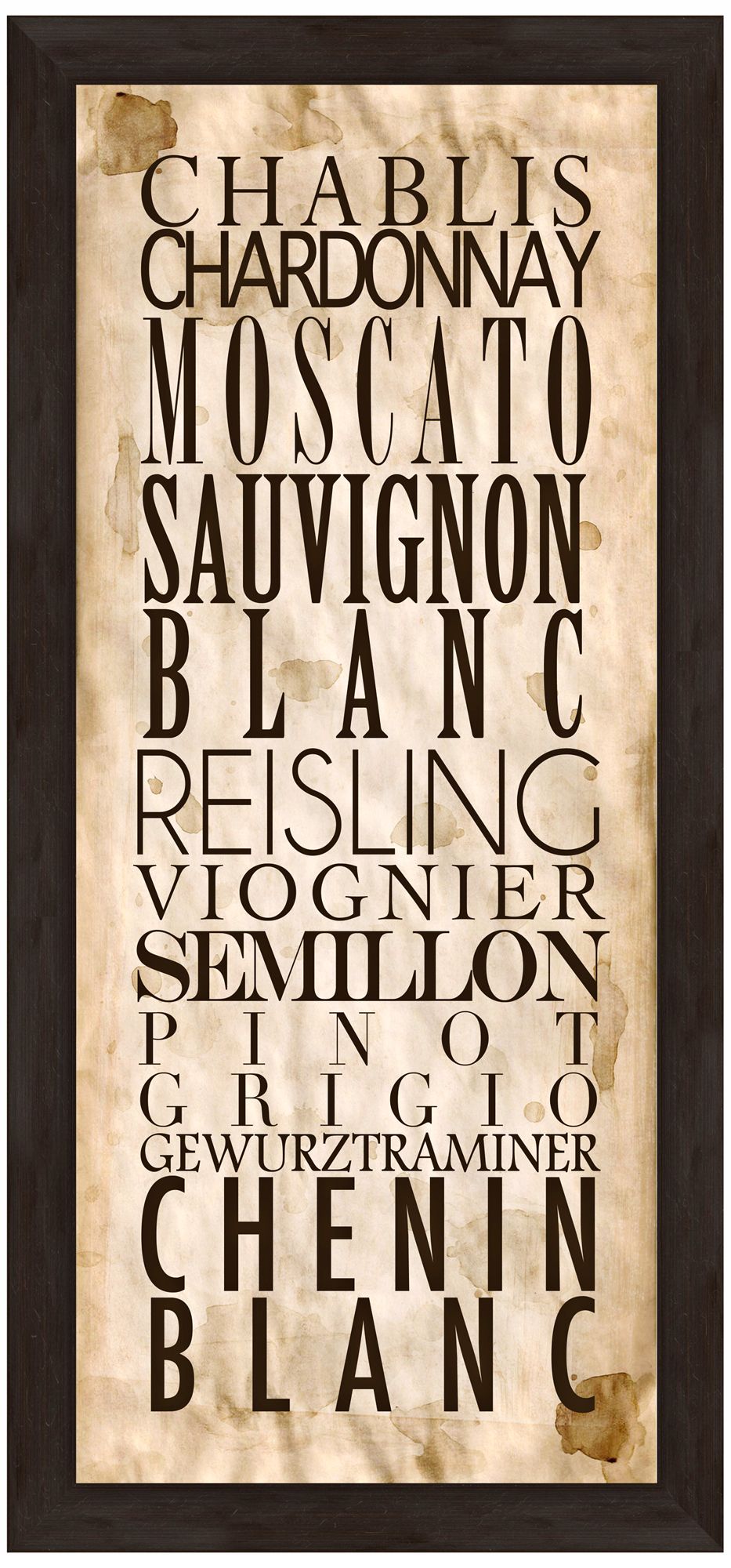 White Wine Types A 22 1/2" High Framed Wine Wall Art