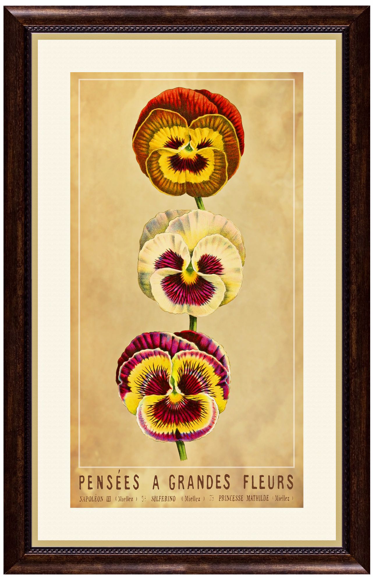 Fleurs A 22 1/2" High Framed Botanical Wall Art
