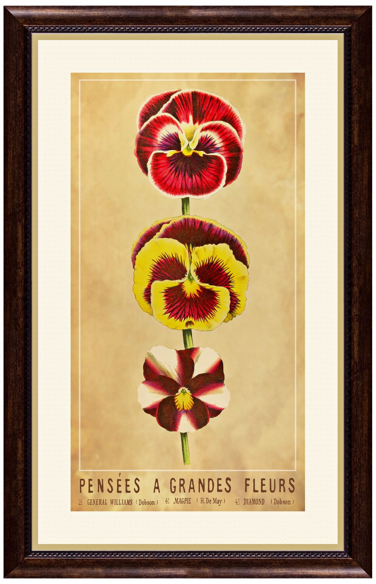 Fleurs B 22 1/2" High Framed Botanical Wall Art