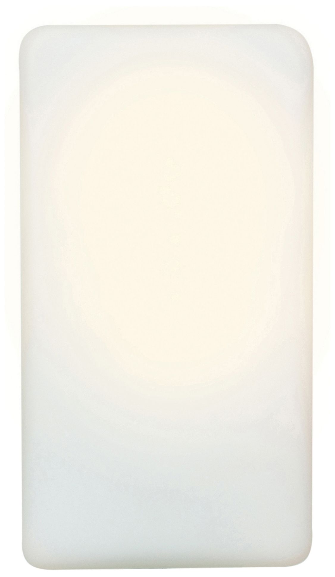 Access Brick Collection Outdoor Sconce
