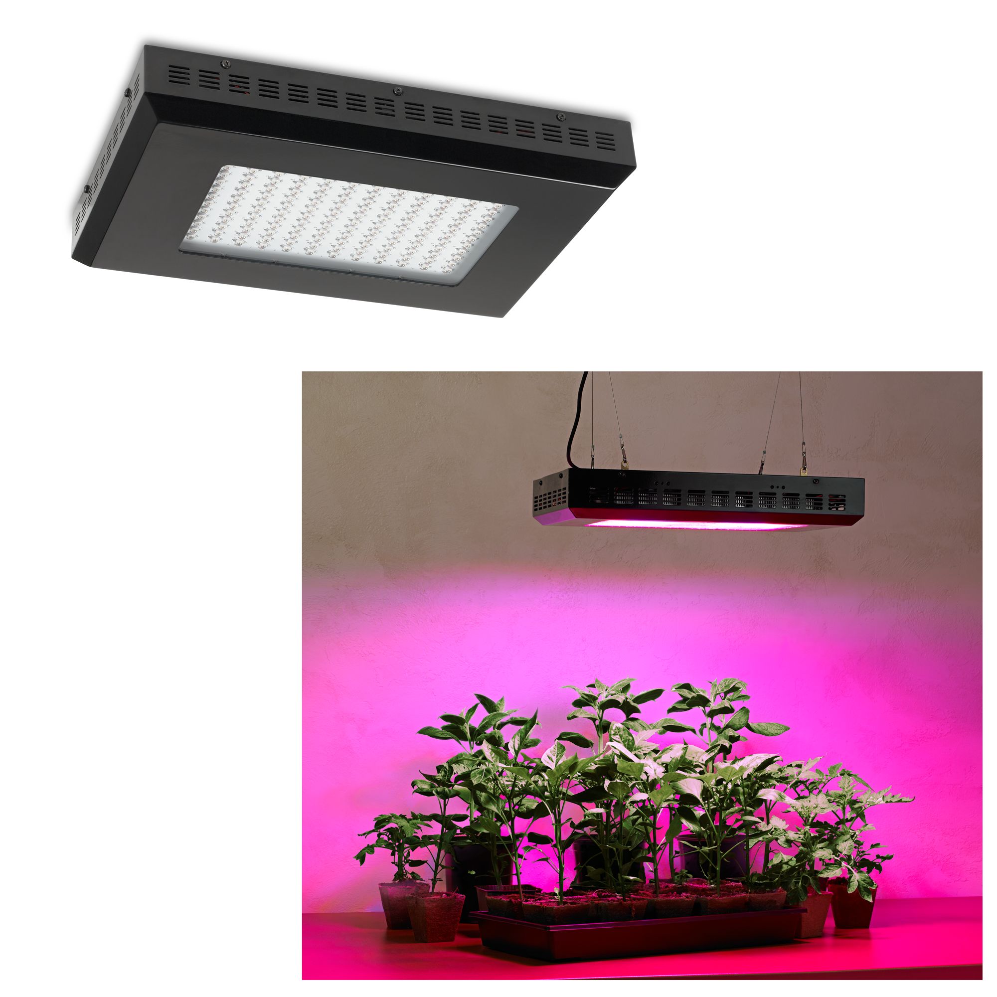 Tesler 300 Watt Rectangular LED Grow Light