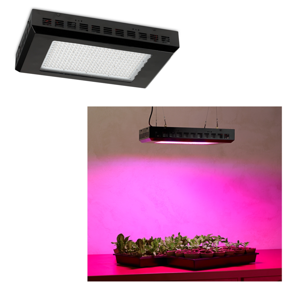LED Grow Lights for Indoor Plants   Low Energy & Cost at