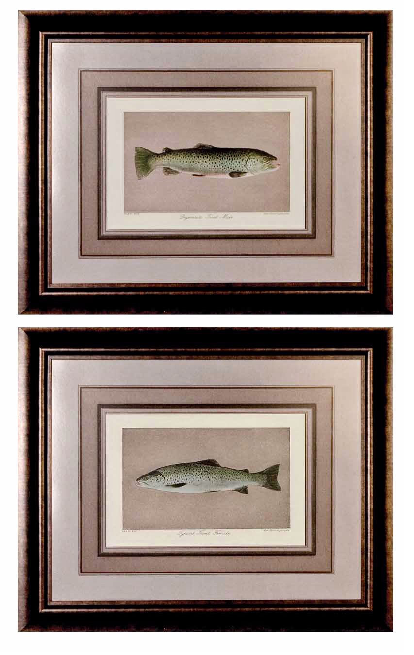 Set of 2 Uttermost Fisherman's Delight 33" Wide Wall Art