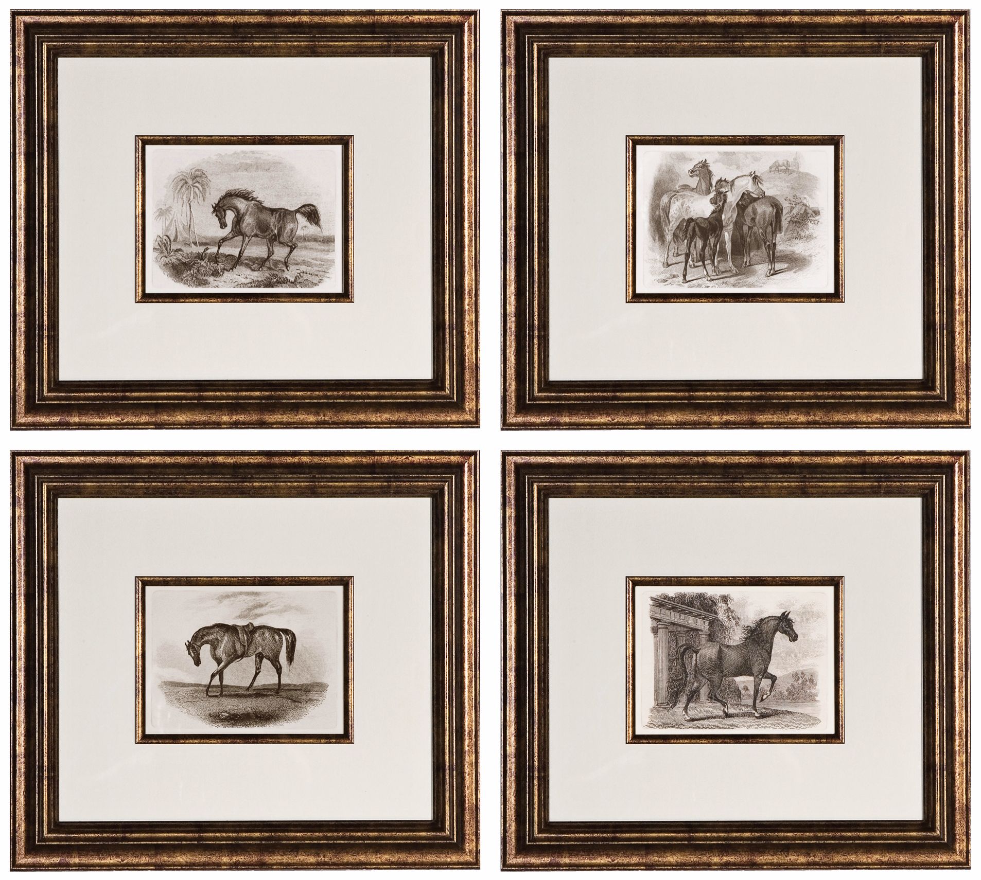 Set of 4 Uttermost Horses 18 5/8" Wide Wall Art