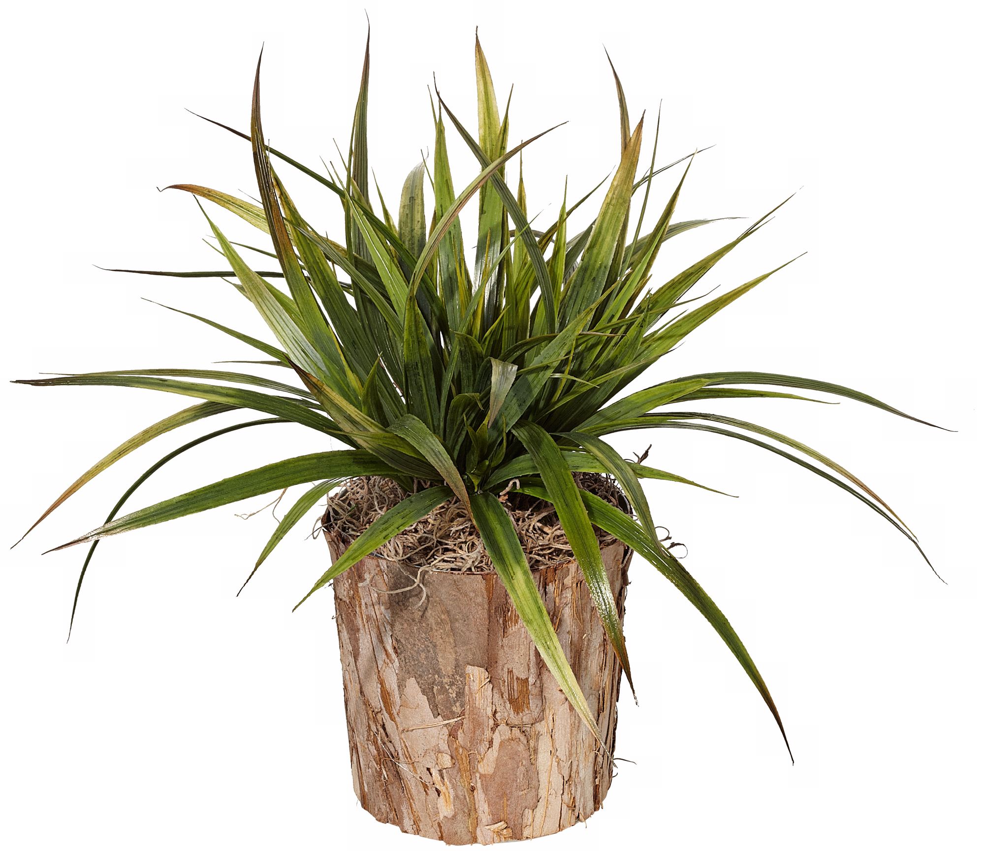 Faux Burlap Grass in Bark Wood Pot