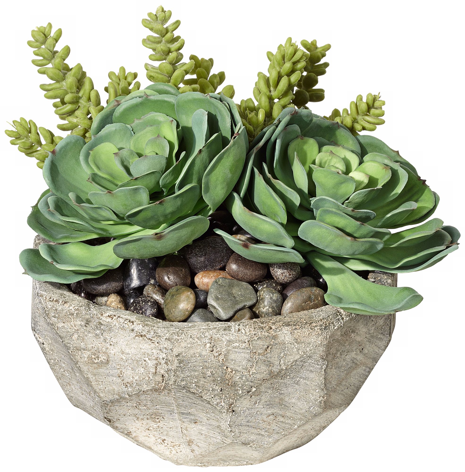 Succulent Arrangement in Small Stone Bowl