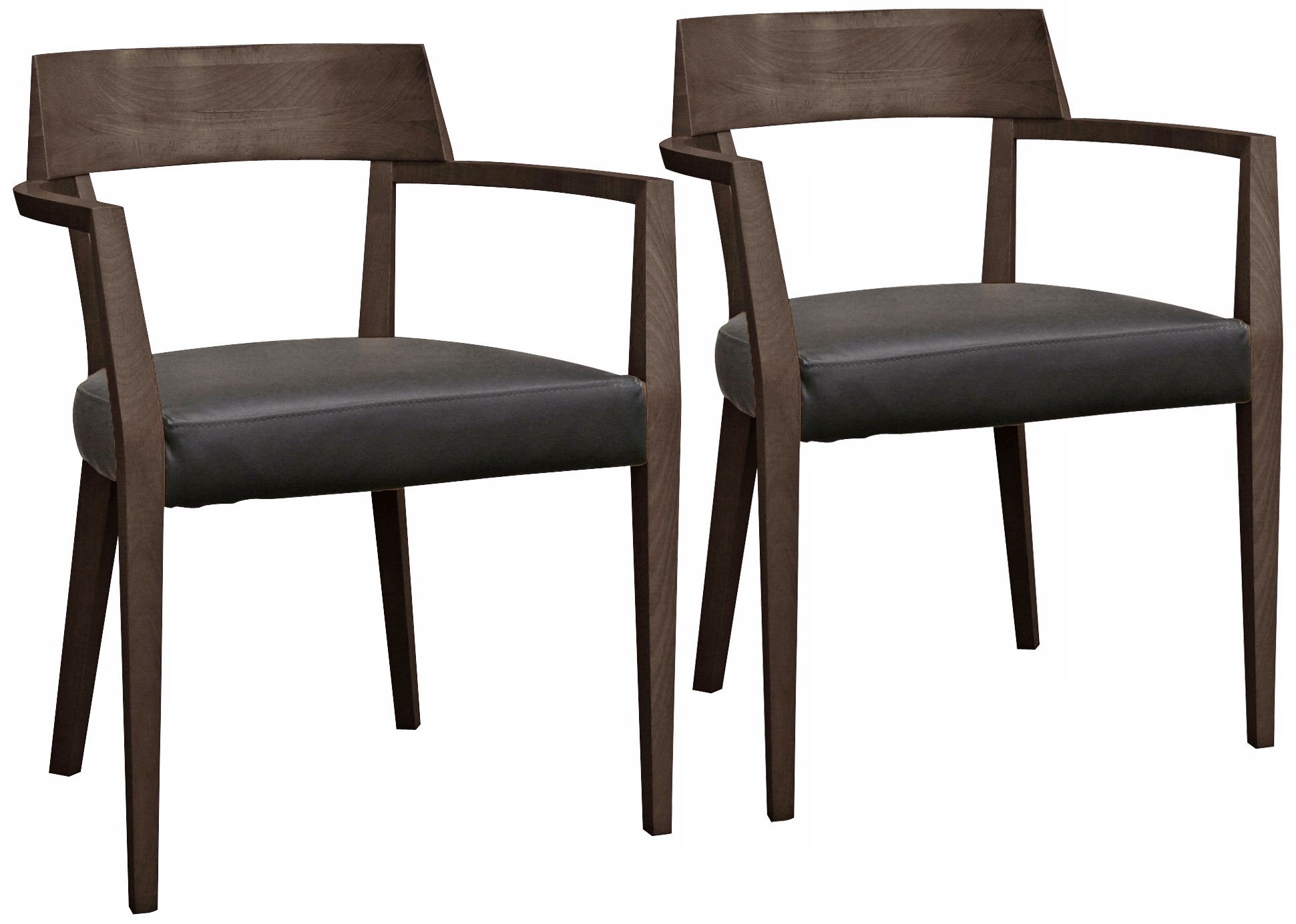 Set of 2 Laine Wood and Faux Leather Dining Chairs