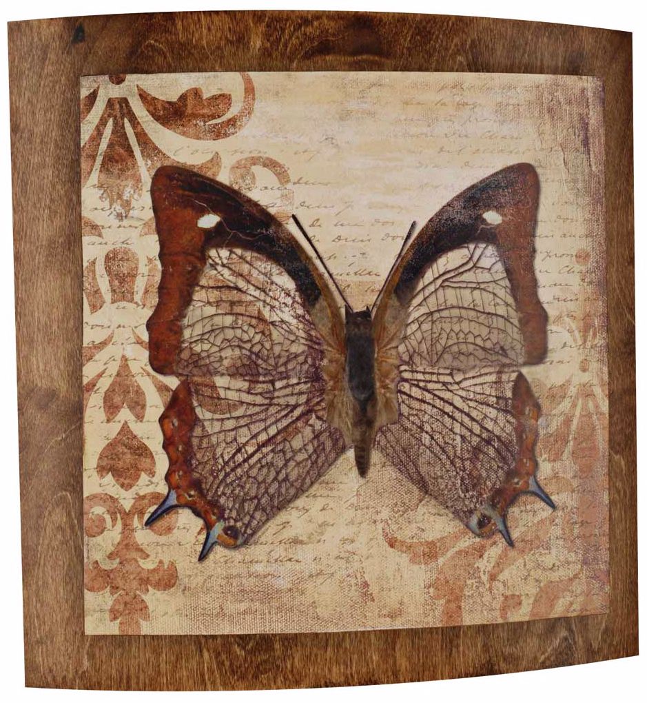Butterfly Convex 22" Wide Outdoor Wall Art