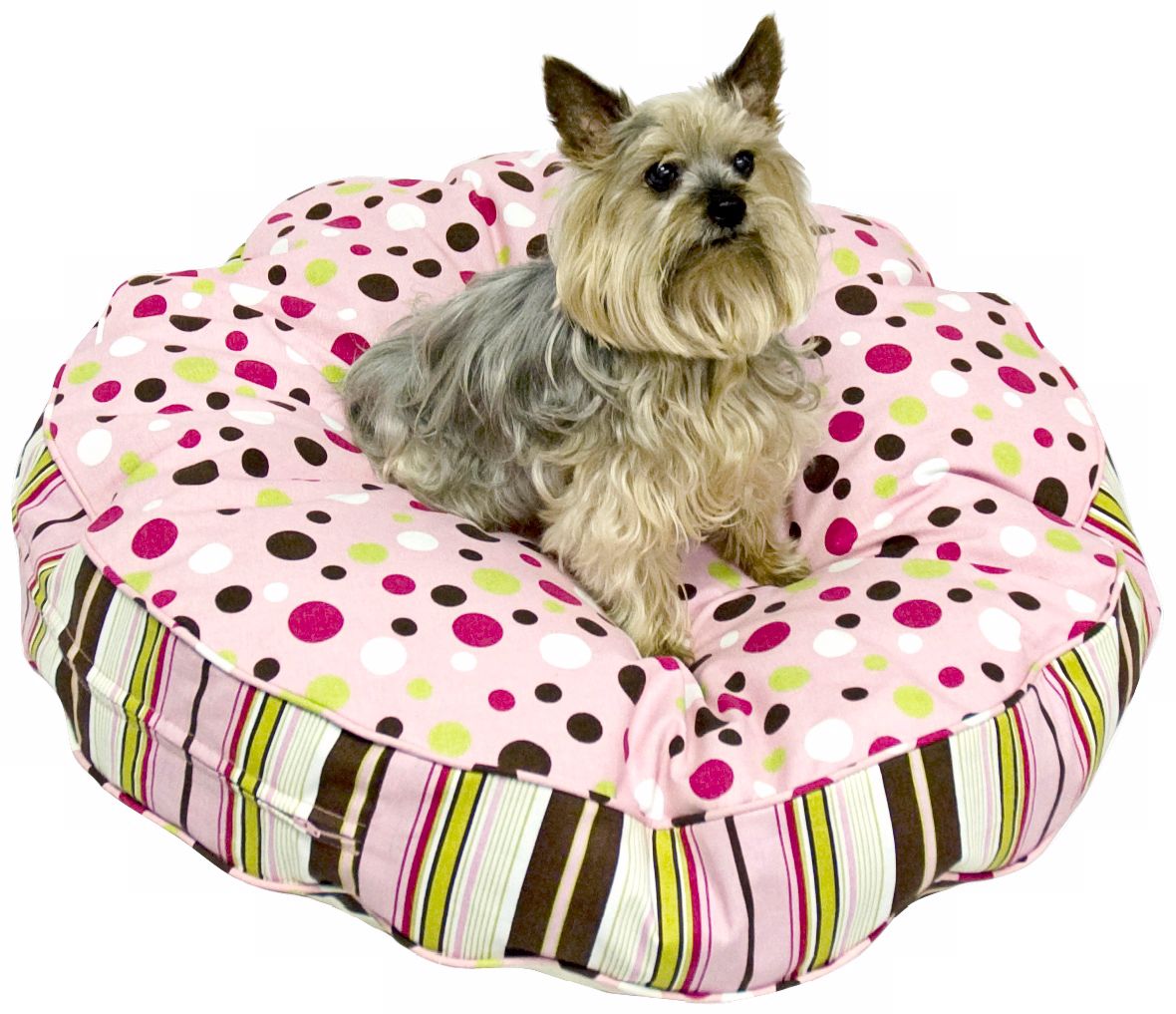 Happy Hounds Scout Deluxe Brown and Pink Medium Dog Bed