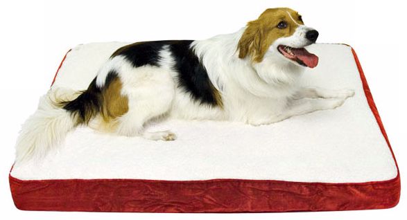 Happy Hounds Oscar Crimson Medium Orthopedic Dog Bed