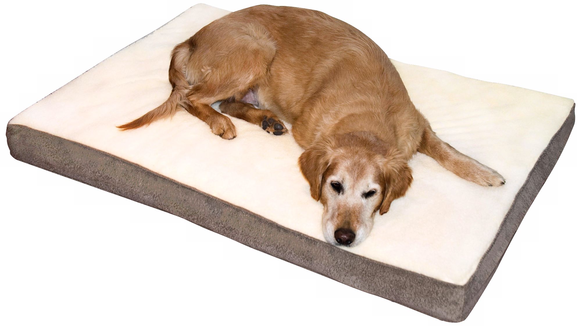 Happy Hounds Oscar Latte Small Orthopedic Dog Bed