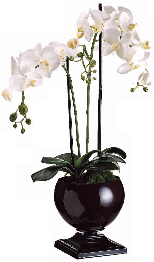 Potted White Phalaenopsis 29" High Faux Silk Orchids
