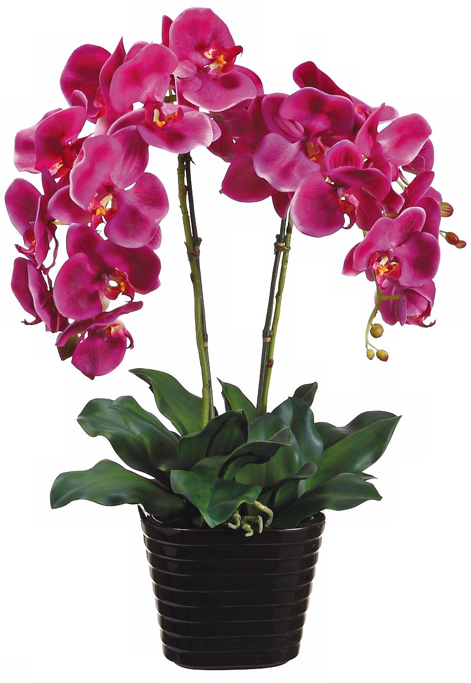 Potted Violet Phalaenopsis 24" High Faux Silk Orchids