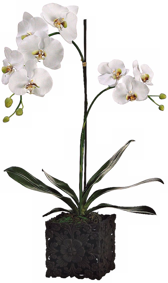 White 32" High Faux Orchids in Black Floral Pot