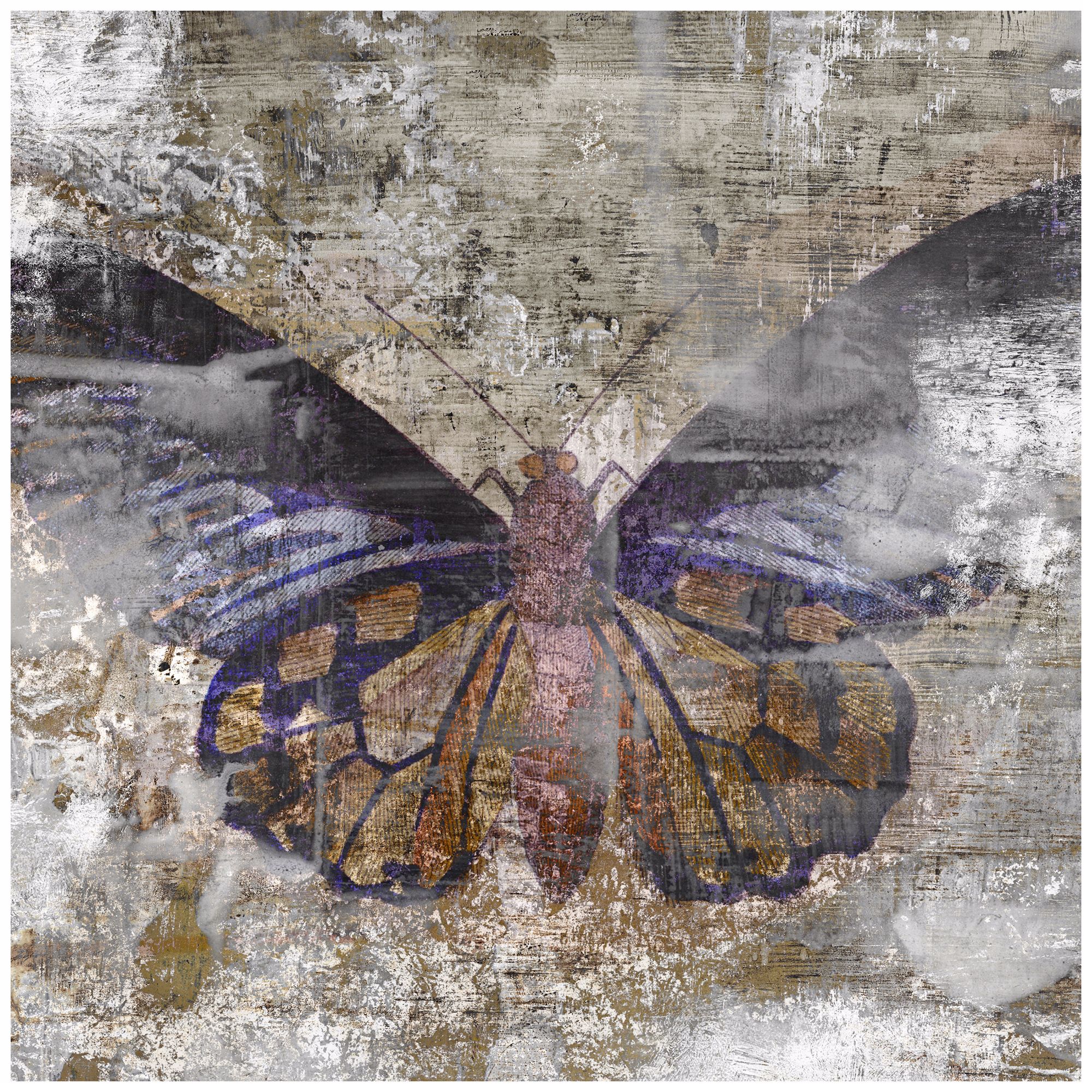 Undergrowth IV 36" Square Butterfly Wall Art